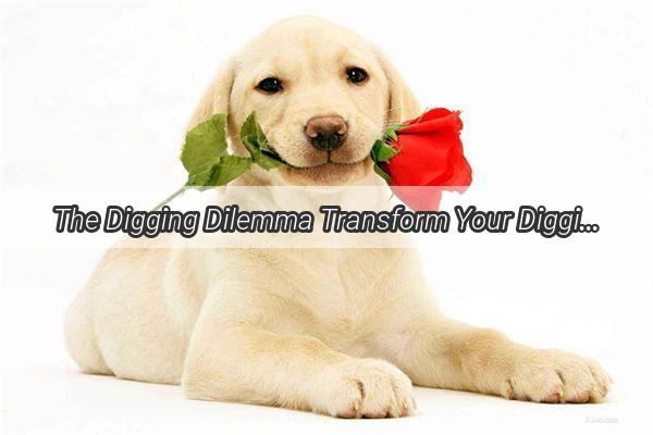 The Digging Dilemma Transform Your Digging Dog into a Gentle Groundskeeper